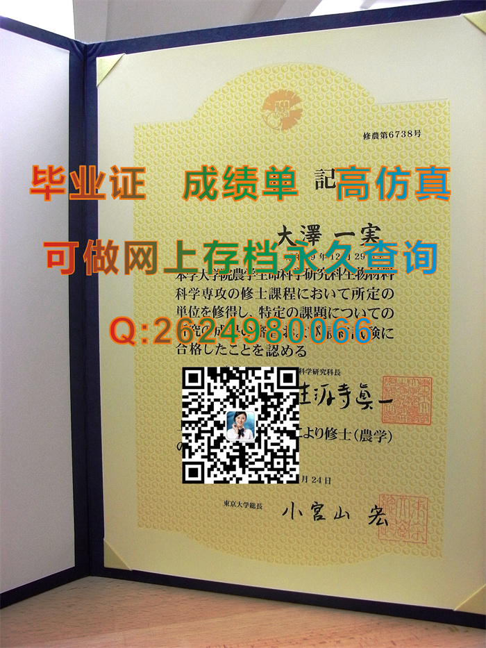 日本东京大学毕业证、文凭、成绩单、学位证外壳快速购买|The University of Tokyo文凭|制作日本大学毕业证书）