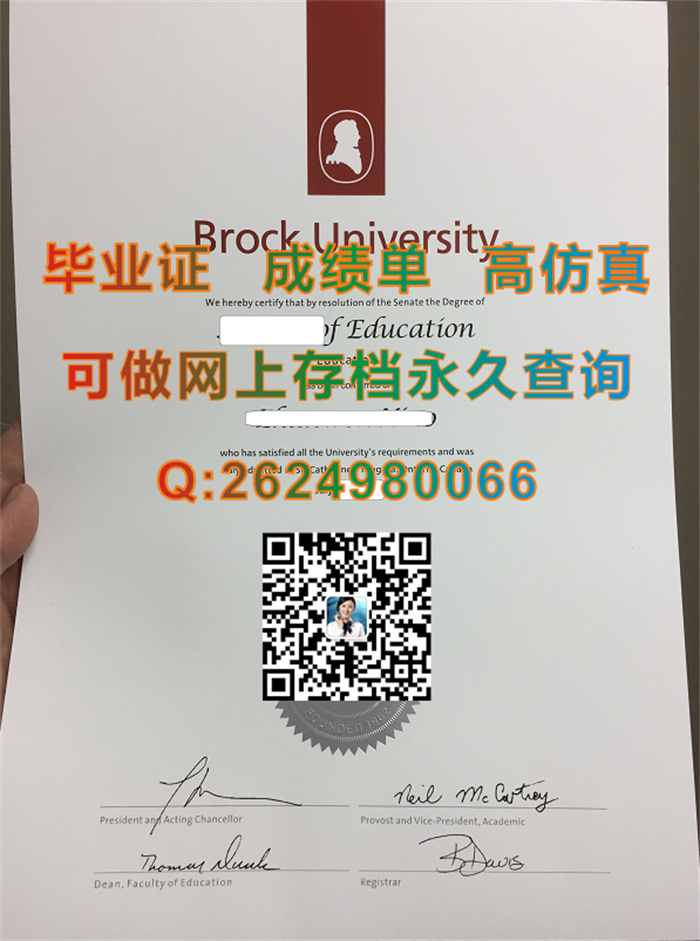 加拿大布鲁克大学.png